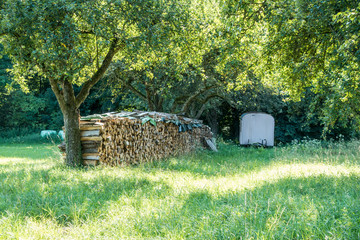 Brennholzlager © focus finder