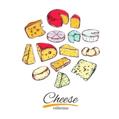 Cheese collection. Vector hand drawn illustration of cheese types . Isolated on white