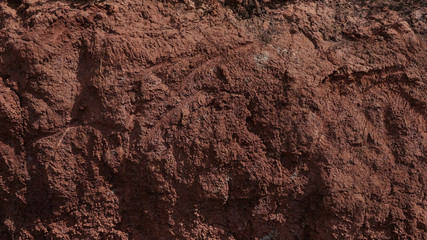 the texture of the clay
