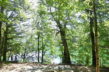 Fototapeta premium mountain lake