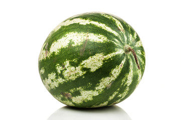 watermelon standing isolated on white background