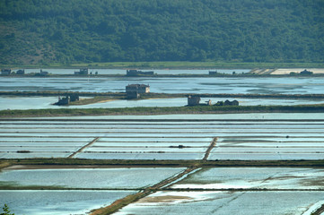 Salzfelder bei Portoroz