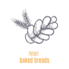 Hand drawn decorative bread bakery . Vector Illustration.