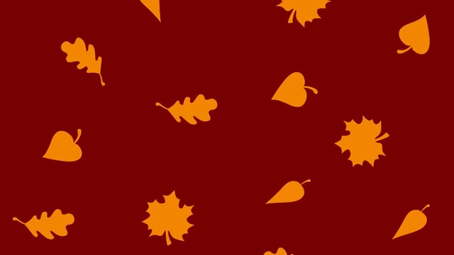 Autumn seamless pattern with autumn leaves. HD video footage background.