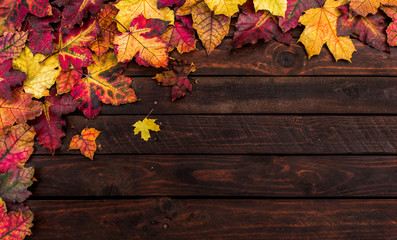 Autumn - Colorful  Leaves Background