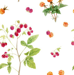 Seamless pattern repeated tile of watercolor berries