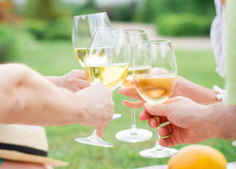 Friends Friendship Outdoor Dining People Concept
