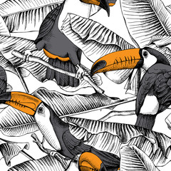 Seamless pattern with image of a Toucan and Banana leaves. Vector illustration. © Afishka