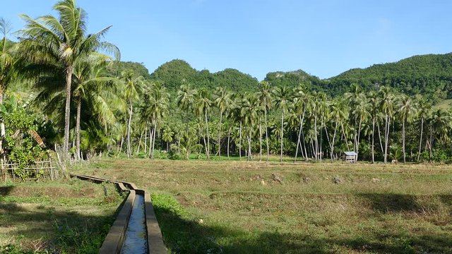 Water irrigation at farm land in Anda Bohol the Philippines