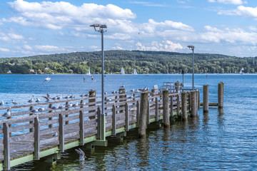 Fototapeta premium Schiffsanleger in Starnberg am Starnberger See mit Seemöwen und Stehpaddlern