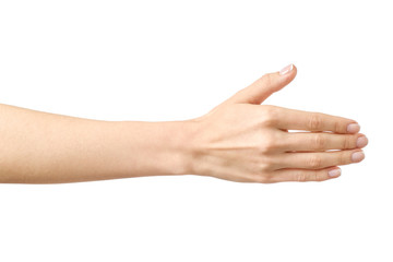 Woman's hand ready for handshaking