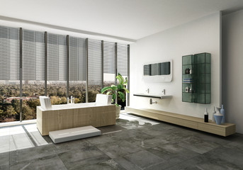 Elegant designer bathroom interior