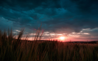 Fototapeta premium Sonnenaufgang