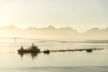M/S «BJØRG PAULINE»