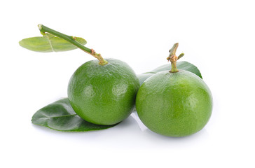 Lime isolated on a white cutout.