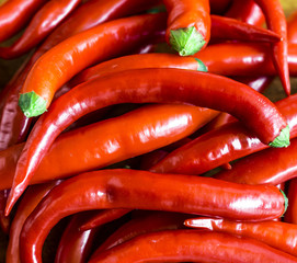 Hot pepper, chili peppers, capsicum, paprika, red, hot