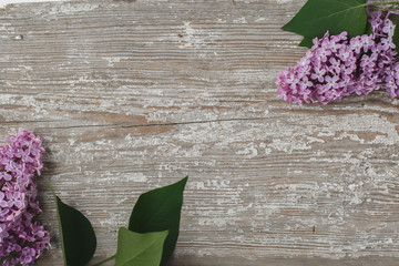 Beautiful lilac flowers on an old wooden board with a textured paint