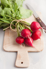 fresh raw radish with leaves over gray background