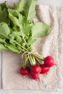 fresh raw radish with leaves over gray background