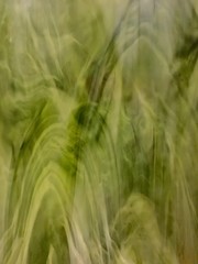 Green polished glass