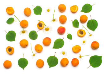 Fruit of apricot with leaf and flower chamomile isolated on white background. Useful healthy food with vitamins after exercising. Diet, weight loss. Sport. Flat lay, top view