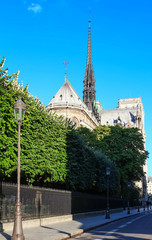 Fototapeta na wymiar The Notre Dame Cathedral , Paris, France.