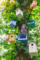Many Birdhouses of different colors on the tree