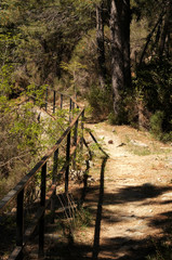 Sentier et sa barricade