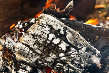 Burning log with smoke