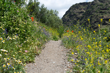 mountain path in sierra nevada, andalusia, spain