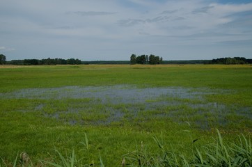 łąka - rozlewisko