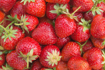 Ripe sweet red strawberries as a background, texture