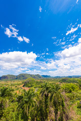 Fototapeta na wymiar View of the Vinales valley, Pinar del Rio, Cuba. Copy space for text. Vertical.