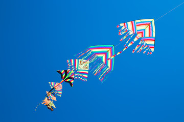flying kites with blue sky background 