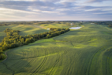 green soybean fields in Missouri aerial view