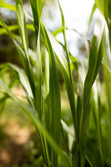 Girl on the simulators in the park