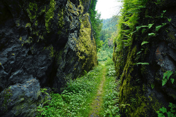 Hiking trail through steep cliffs / valley / canyon © julianpictures