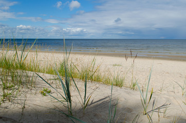 Fototapeta na wymiar Grass and dune beach Baltic sea view, Latvia.
