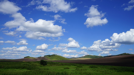 Siberia steppes in the summer