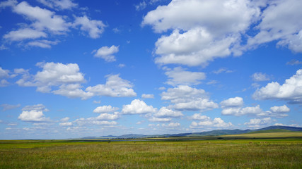 Siberia steppes in the summer