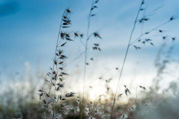 Mountain field during sunset