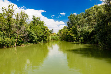 Fototapeta na wymiar Beautiful lake with trees on the shore