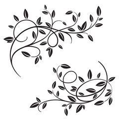 Set of beautiful vector decorative branches with leaves