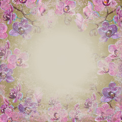 Grunge orchid flowers background