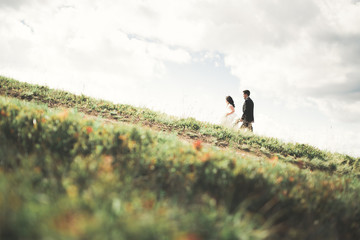 Obraz premium Kissing wedding couple staying over beautiful landscape