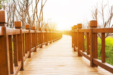 old wooden bridge in deep forest, natural vintage background