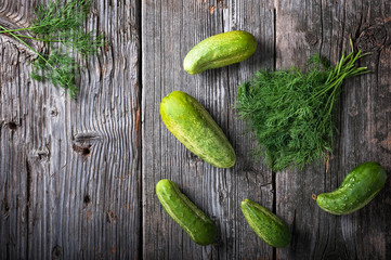 Flat lay view of organic cucumbers and dill weed on rustic barn wood background with copy space