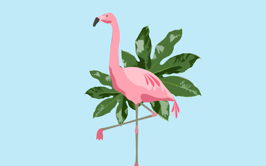 pink flamingo bird over blue background