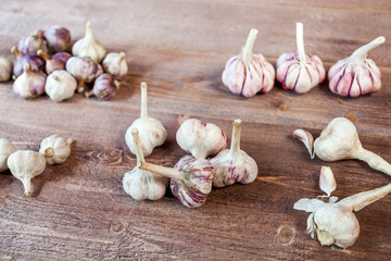 Garlic. Garlic Cloves and Garlic Bulb on a wooden vintage rustic table.