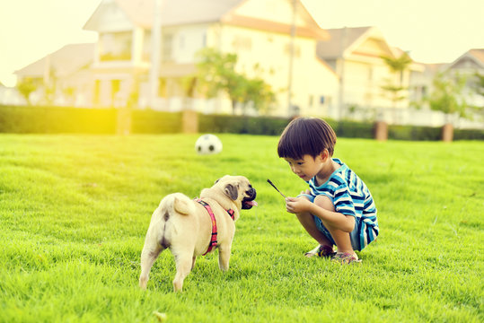 Happy Asian Boy Playing With His Dog In Garden
